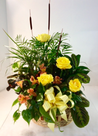 Dishgarden With Fresh Flowers  in Troy, MI | DELLA'S MAPLE LANE FLORIST