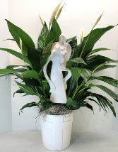 Divine Comfort Peace Lily With Angel In Cross Pot