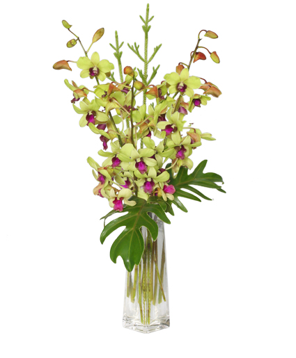 DIVINE DENDROBIUMS Vase of Orchids