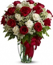 Divine Roses 24 Red & White Premium Roses