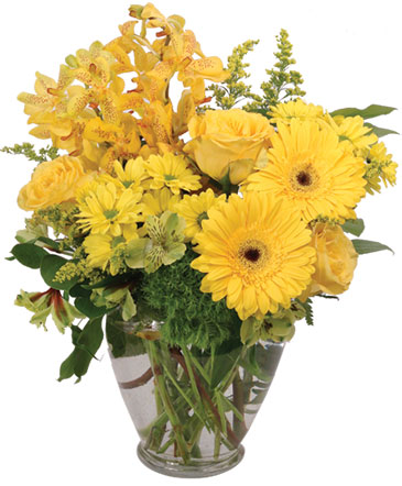 Divinely Golden Flower Arrangement in Sandusky, OH | BAILEY'S BUDS 'N BLOOMS