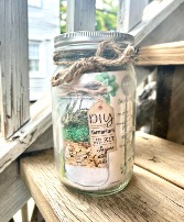 Laguna DIY Terrarium Jar Kit