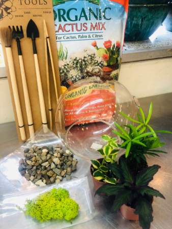 DIY Terrarium Kit Medium