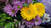 Dodo's Easter Centerpieces Pick your style.