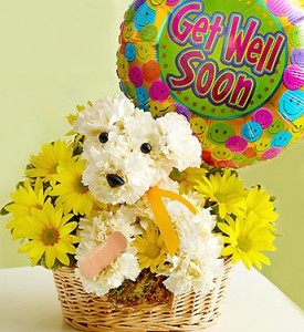 DOG-A-BLE GET WELL SOON 