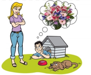 Dog House Program Click the link at the bottom of the website to sign up for the program!! in Raynham, MA | FLORALS FROM THE HEART Dog House Program Click the link at the bottom of the website to sign up for the program!! in Raynham, MA | FLORALS FROM THE HEART