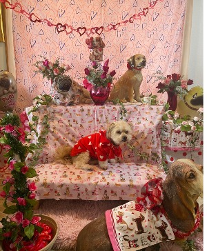 dog party perfect for any bestfriend and pals selfie station rental item 