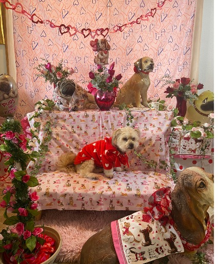 dog party perfect for any bestfriend and pals selfie station rental item 