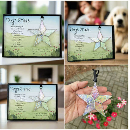 Dog Shine Stained Glass star Memorial  Gift Keepsake