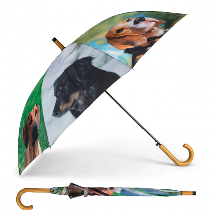 Dog Umbrella 