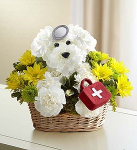 Doggie Howser Get Well Arrangement