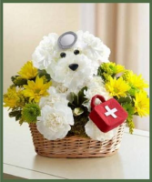Doggie Howser, M.D. A Customer Favorite! in Arlington, Texas | Lige Green Flowers