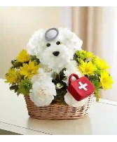 Doggie Howser M.D assorted flowers