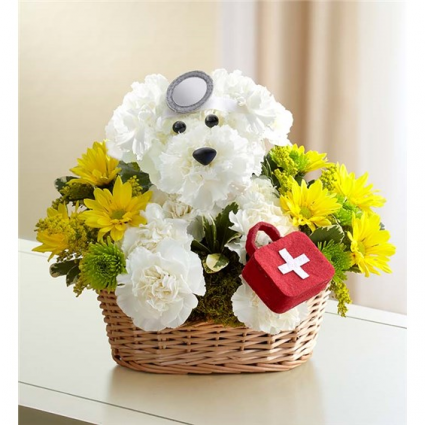 Doggie Howser M.D. sku # 146761