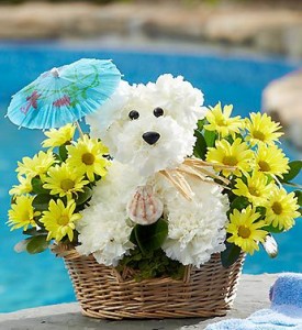 DOGGIE PADDLE in Camp Pendleton, CA | CAMP PENDLETON FLORIST DOGGIE PADDLE in Camp Pendleton, CA | CAMP PENDLETON FLORIST