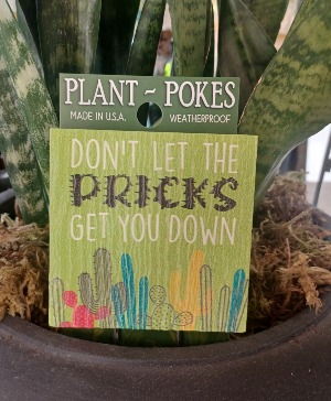 Don't Let the Pricks Get You Down Plant Stake 