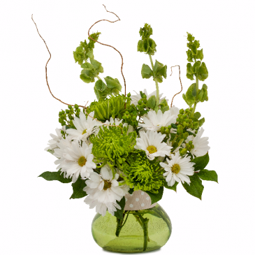 Dots and Daisies Arrangement