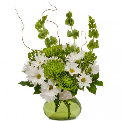 Dots and Daisies Arrangement