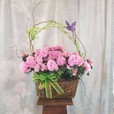 Double Azalea Basket