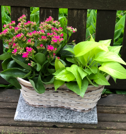 Double Basket