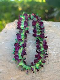 DOUBLE BOMBAY AND GREEN TINT ORCHID LEI GRADUATION LEI
