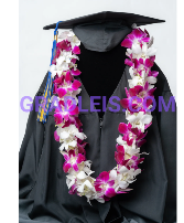 DOUBLE BOMBAY AND WHITE ORCHID LEI GRADUATION LEI