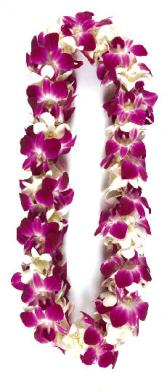 Double Bombay and White orchid Lei Lei