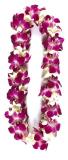 Double Bombay and White Orchid Lei 