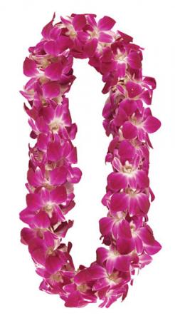 Double Bombay Orchid Lei 