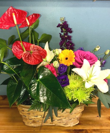 Double Delight Potted Tropical and Fresh Flowers in Abbotsford, BC | BUCKETS FRESH FLOWER MARKET INC.