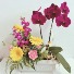 Purchase this funeral home arrangement
