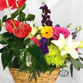 Double Delight Tropical Potted and Fresh Flowers