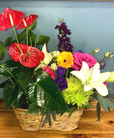 Double Delight Tropical Potted and Fresh Flowers in Abbotsford, BC | BUCKETS FRESH FLOWER MARKET INC.