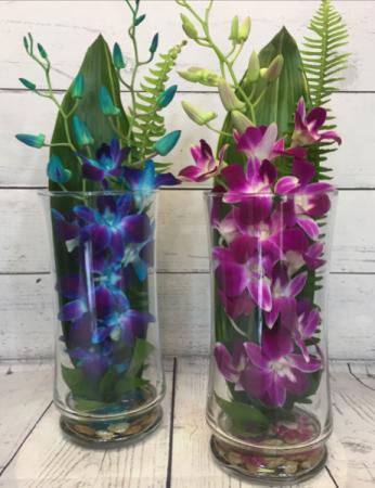 Double dendro orchids Cylinder vase