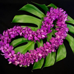 Category Image