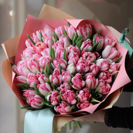 Double Double Pink Tulips  