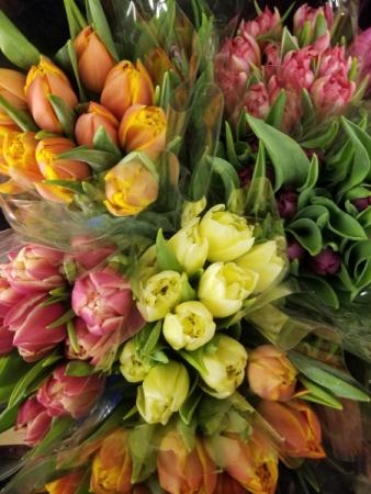 Double Dutch Tulips Fresh flower arrangement