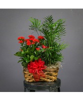 Double Garden Plant Basket