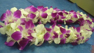 Double-Layered Graduation Lei -- Purple and White Congratulations / Graduation in Rowland Heights, CA | Charming Flowers and Gifts Double-Layered Graduation Lei -- Purple and White Congratulations / Graduation in Rowland Heights, CA | Charming Flowers and Gifts