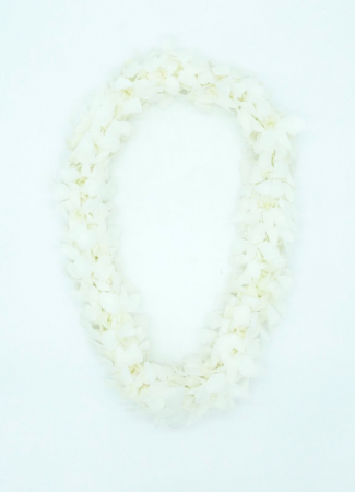 DOUBLE LEI - WHITE Fresh orchids