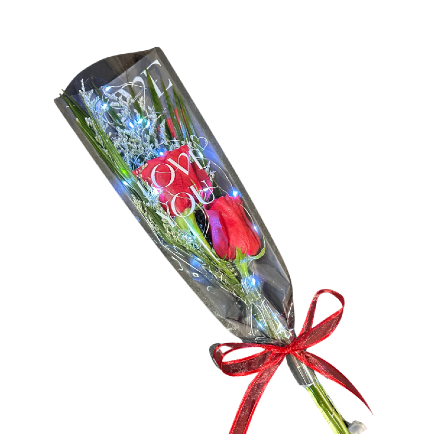 Double Long Stem Roses Valentine's Day