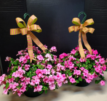 Double matching baskets Sun, Part Sun, Shade in Mansfield, OH | Alta Florist Mansfield