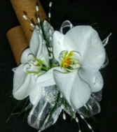 Double Orchid Beauty Orchid Corsage