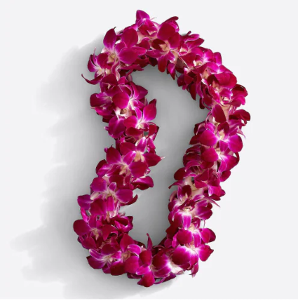 Purple Orchid  Graduation Lei