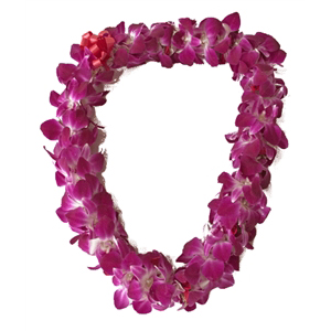 Double Orchid Lei in Boise, ID | HEAVENESSENCE FLORAL & GIFTS Double Orchid Lei in Boise, ID | HEAVENESSENCE FLORAL & GIFTS