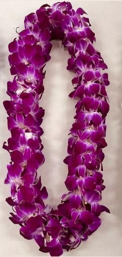 Graduation Double Orchid Lei-Purple POPULAR