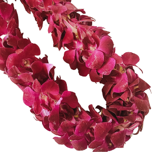 Double Orchid Lei Lei