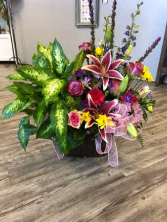 Double Plant and Fresh Basket