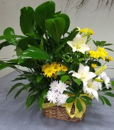 Double Planter with Fresh Flowers Plant