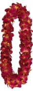 Double Red Orchid Lei 